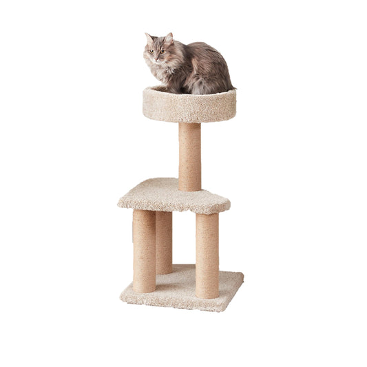 Cat Tree Tower